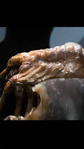 EGONE moviehub on Instagram: "Alien creatures are sucking humans in (egone) #shorts #movie #story #fantasy #alien viralvideo"