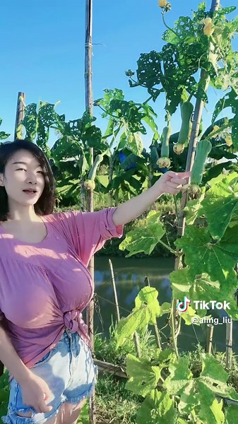 Towel gourd