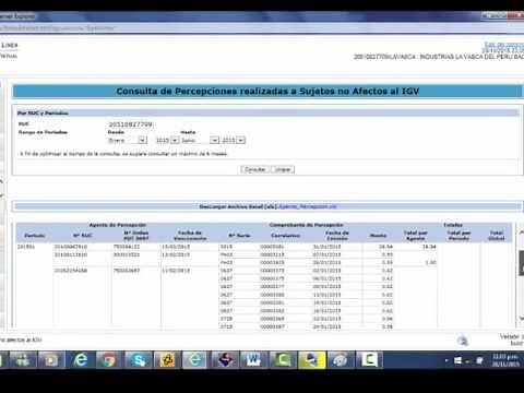PERCEPTION CONSULTATION - SUNAT PORTAL