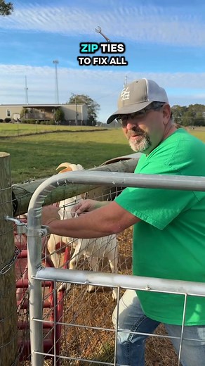 2.4K views · 60 reactions | We are goat farmers… of course we start the day with goat kisses!  Life on the ranch isn’t complete without a few nose boops and bleats before breakfast. That’s just part of the charm of farm life here at The SixThree Ranch!  Tag someone who’d love to trade their morning coffee for a goat smooch! #GoatFarmLife #FarmFamily #TheSixThreeRanch #CountryLiving #GoatLovers #AlabamaFarms | The SixThree Ranch | Facebook
