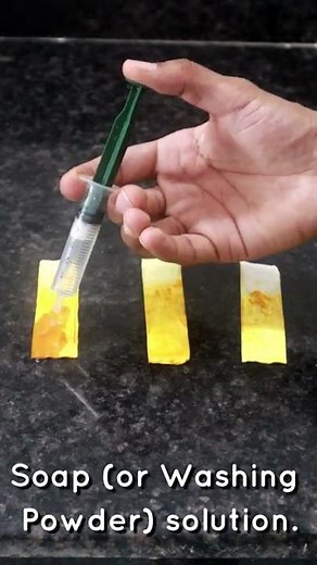 DIY Turmeric Indicator [Homemade]🧪 | Class 10 Science Chapter 2 (Acids, Bases and Salts) | #Shorts