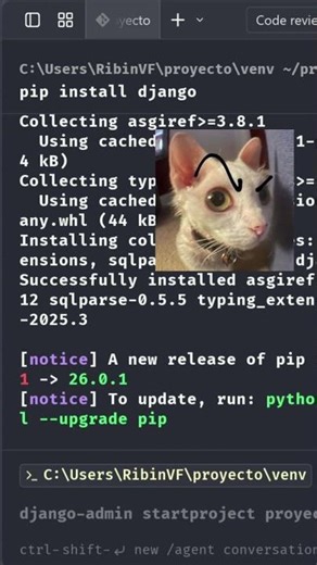 Iniciando un proyecto con Python y Django desde cero 🔥🔥