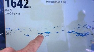 Marking a swordfish with the R599LM 3kw transducer from Airmar Technology Corporation paired up with an evo 3 screen from Simrad Yachting. #airmartechnology #itswhatsunderyourboat #simrad #gowithconfidence #swordfish | Capt. Nick Stanczyk