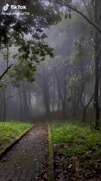 Nature Vibes in Ilam, East Nepal