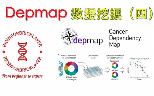 【生信进阶之路｜资源篇 05】Depmap 数据库挖掘之小分子药物筛选