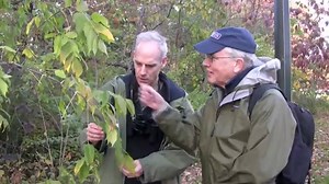 Mapping (Almost) Every Tree In Central Park