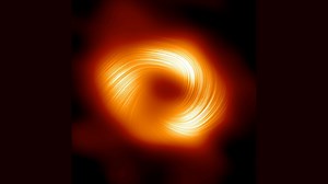 Event horizons and beyond: The mysterious boundaries of black holes explained