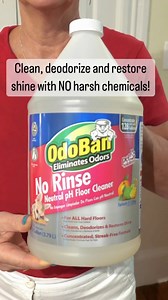 258 reactions · 65 shares | Clean, fresh, shiny, streak-free floors! OdoBan No Rinse Floor Cleaner cleans, deodorizes, and restores shine without harsh chemicals.  | OdoBan | Facebook
