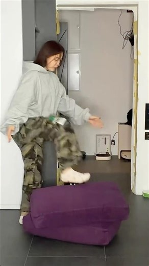 INVISIBLE BOX TRICK #dancehall #cat #stitchtricks #sport