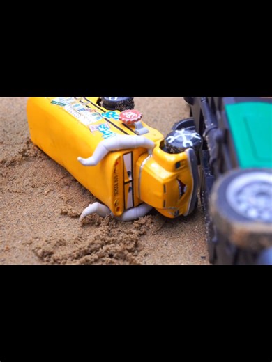 Explore Adorable Puppy Trends on TikTok