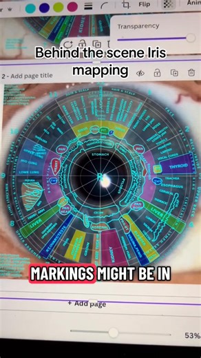 Iridology, reading the eyes. #iridology#eyes#iris | Melinda Brace Guiding People