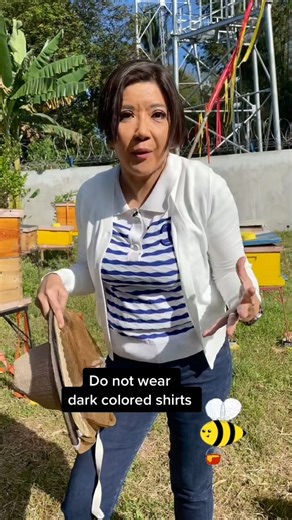 343K views · 14K reactions | Harvesting honey at The BeeHive Farm in Lipa, Batangas. #PinasSarap #HoneyHarvesting | Kara David | Facebook