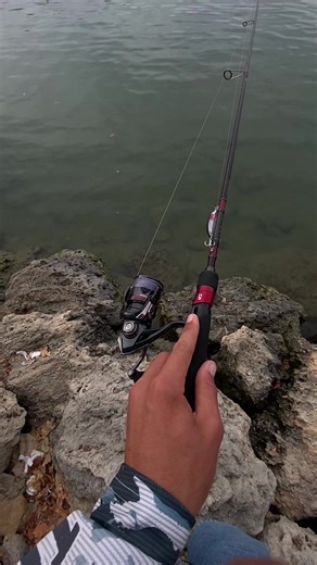 Explore Land-Based Fishing Techniques and Tips