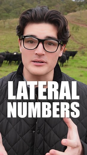 Understanding Imaginary Numbers in Mathematics