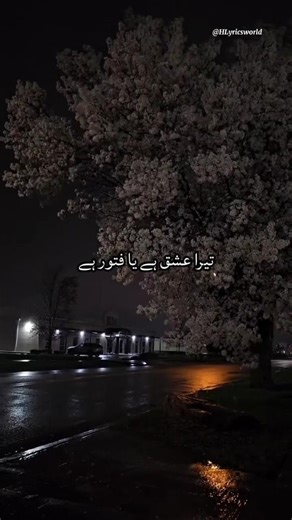 tera Ishq Hai Ya Fitoor Hai |Ghulam BadshahSundari |Ost Lyrics |#status #whatsappstatus #shortsfeed