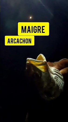 la canne à fait un demi cercle #surfcasting