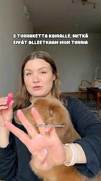 Kolme hyödyllistä lemmikkitarviketta, jotka olen ostanut Kinkulle 🐕