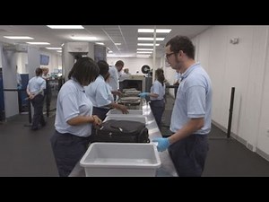What it takes to join the TSA