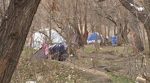 Homeless camps, tents increasing along Fountain Creek near downtown Colorado Springs: Why?