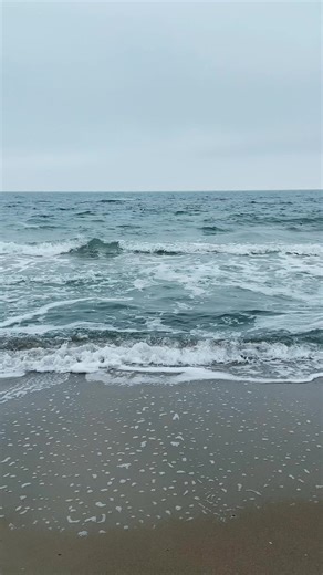 Sea vibes all day 🌊 Endless beach moments and open sea view ✨ #beach #sea #seaview #blacksea #group7