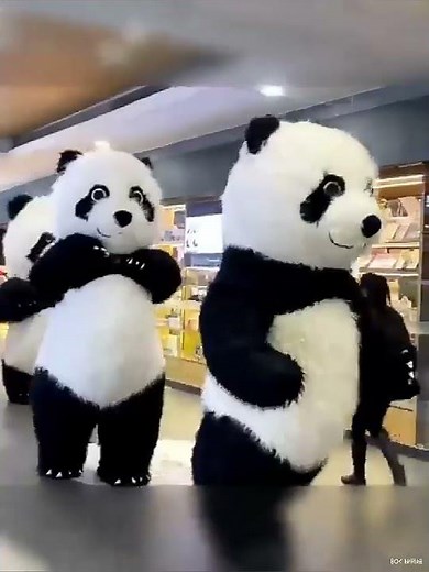 Adult Inflatable Panda Costume for Entertainments