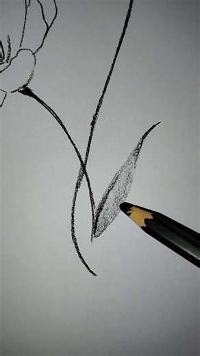 Beautiful Flower Drawing #flower #art #drawing #sketch #pencildrawing #easydrawing