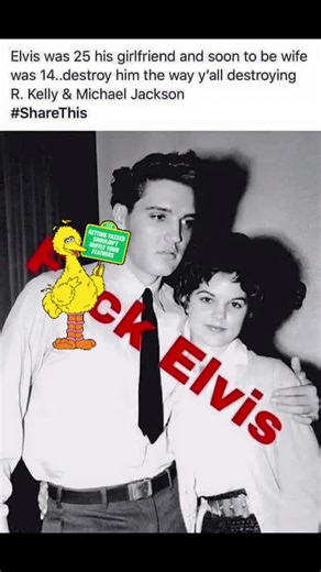 Hi, I am Big Bird #bigbird #iambigbird #justforfun #memestiktok #meme #lol #sarcasm #fyp #cominginhot #viralvideo #tiktokmemes😂😂