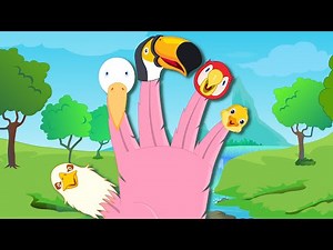 Birds Finger Family | Nursery Rhymes For Children