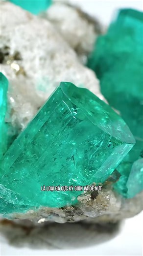 Vì sao ngọc lục bảo (Emerald) sau khi khai thác phải ngâm ngay vào thùng dầu? Vì sao lại gọi nó là viên đá “ngâm trong dầu”? Bởi vì Ngọc lục bảo là loại đá cực kỳ giòn và dễ nứt vỡ. Hầu hết emerald đều có nhiều khe nứt, tạp chất dạng sợi bông gọi là “jardin” Bên trong nó chứa rất nhiều vết nứt li ti và tạp chất dạng “bông sợi”. Nếu không được ngâm trong dầu để làm ổn định và “niêm phong” các khe nứt, viên ngọc rất dễ bị va đập và vỡ trong quá trình vận chuyển. Vì vậy sau khi khai thác, ngọc lục 