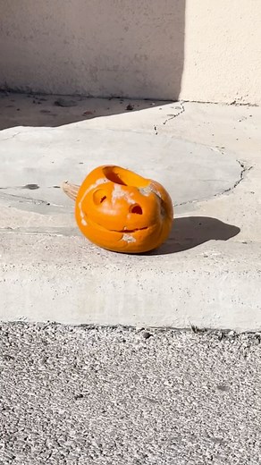 Matthew Gray Gubler on Instagram: "nov 2"