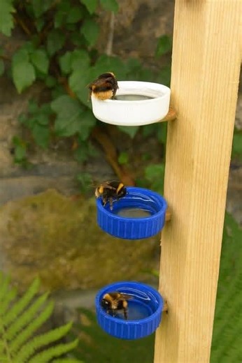 I Love Bees | Help save the bees with this super easy DIY bee watering station | Facebook