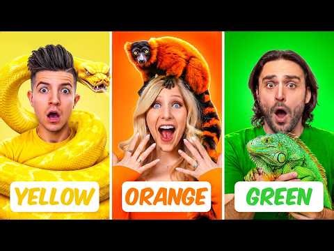 I Adopted Mystery Pets In One Color!