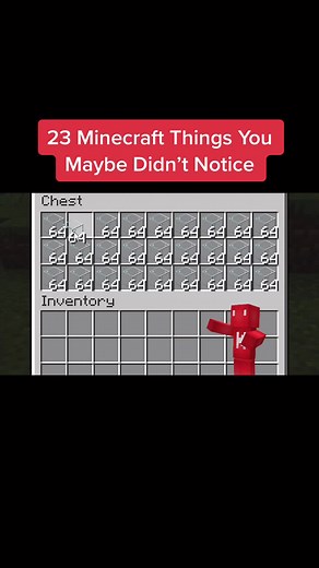 Discovering Hidden Details in Minecraft Blocks