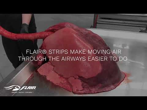 Oxygen Fuels Performance - Equine Respiratory Health