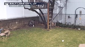 First day of Spring? 🤔🌻 Residents in Salt Lake City, Utah saw snow on the first day of Spring on Saturday, and they were wondering if Spring had arrived at all! #UTwx #SpringSnow Video Credit: @Hockey_NF_Mom (Twitter) | WeatherNation