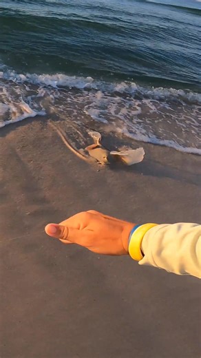 Fishing the beach with a crappie rod and we caught a big fish! | Bama Beach Bum