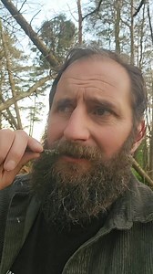 Stop Reporting Videos! | 3 Bucks