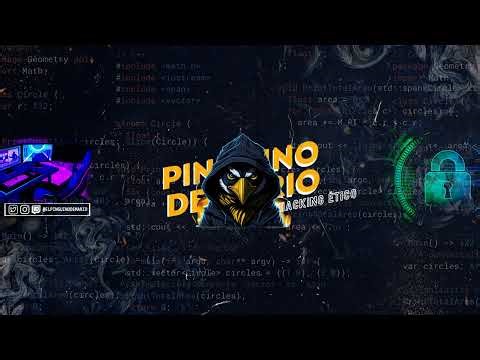 Resolución de la Máquina Race de DockerLabs | Hacking Ético y Cibserseguridad