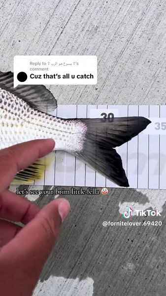 Show Us Your Brim: Fishing Tips and Tricks