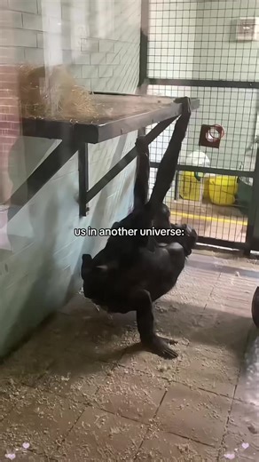 We Still Love Each Other: A Heartfelt Connection