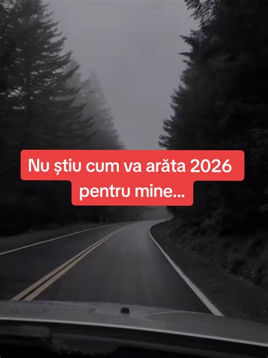 Îți toți anii am trecut în anul nou cu zâmbet, cu bucurie în suflet, însă anul acesta s-a terminat cu lacrimi în ochi și doar păreri de rău! Am luat cele mai proaste decizii, am pierdut tot, am pierdut visele toate unul câte unul și am sperat că în ultimul moment să fiu bine. Nu sunt și cred că nici nu voi fi. În 2025 am primit iubire cu țârâita, am făcut atât de multe greșeli încât nici nu știu cum de am picat în picioare, mă clatin și încerc să rămân stabilă însă nu pot. Pe Dumnezeu l-am pierd