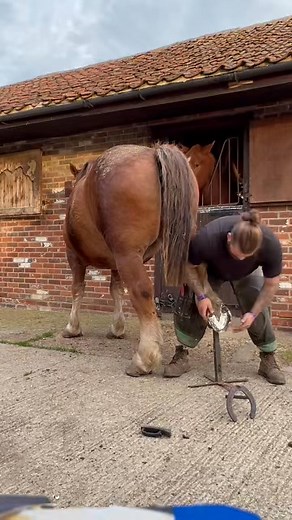 Billy Bleach Farrier on Reels