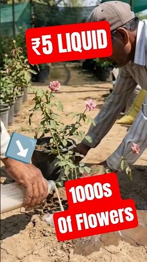 ₹5 में 1000s फूल? 😱 #shorts