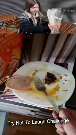 Try Not To Laugh Challenge 305