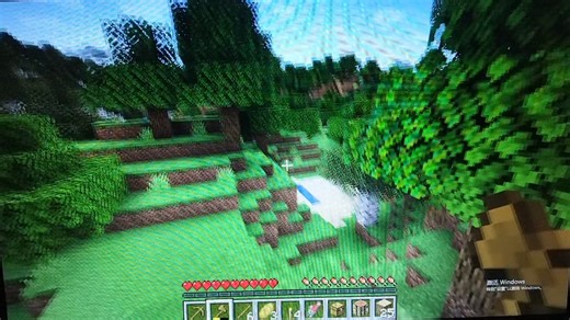 我的世界minecraft：1.17纯生存 第一集