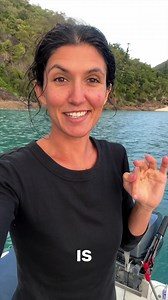 The Greener Two are loving their new Flite Jet propulsion system. It’s smooth, easy to install and the safest propulsion option to give you peace of mind. Read more about Flite Jet here: https://au.fliteboard.com/blogs/news/jet-vs-propeller #fliteboard #efoil #safety #yachtlife #yachttoys | Fliteboard