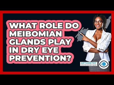 What Role Do Meibomian Glands Play In Dry Eye Prevention? - Optometry Knowledge Base