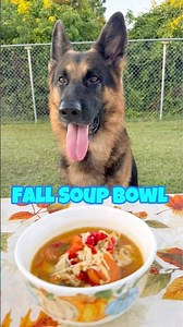 Fall Dog Soup Recipe | Chicken & Veggie Dog Meal | Healthy Homemade Dog Food 🍂🍁