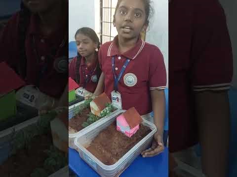 🌍🌱 Grade-5 Models on Soil Erosion & Soil Conservation