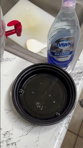 Goodbye Fruit Flies! The Homemade Remedy that Really Works